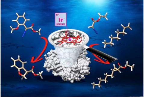 Abiological Catalysis by Artificial Heme Proteins Containing Noble Metals in Place of Iron