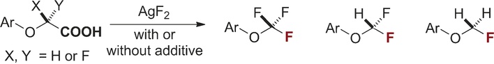 Fluorodecarboxylation for the synthesis of trifluoromethyl aryl ethers