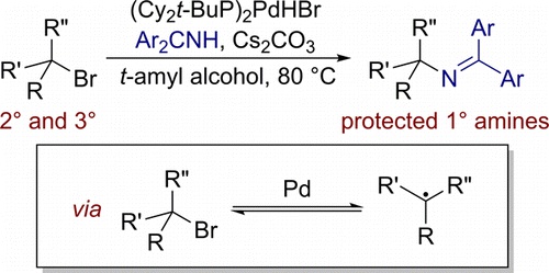 Palladium-​Catalyzed Cross Coupling of Secondary and Tertiary Alkyl Bromides with a Nitrogen Nucleophile