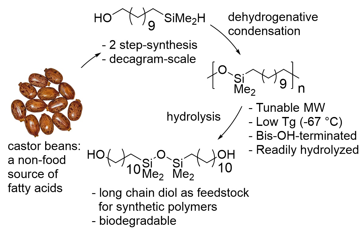 Polysilylether: A Degradable Polymer from Biorenewable Feedstocks