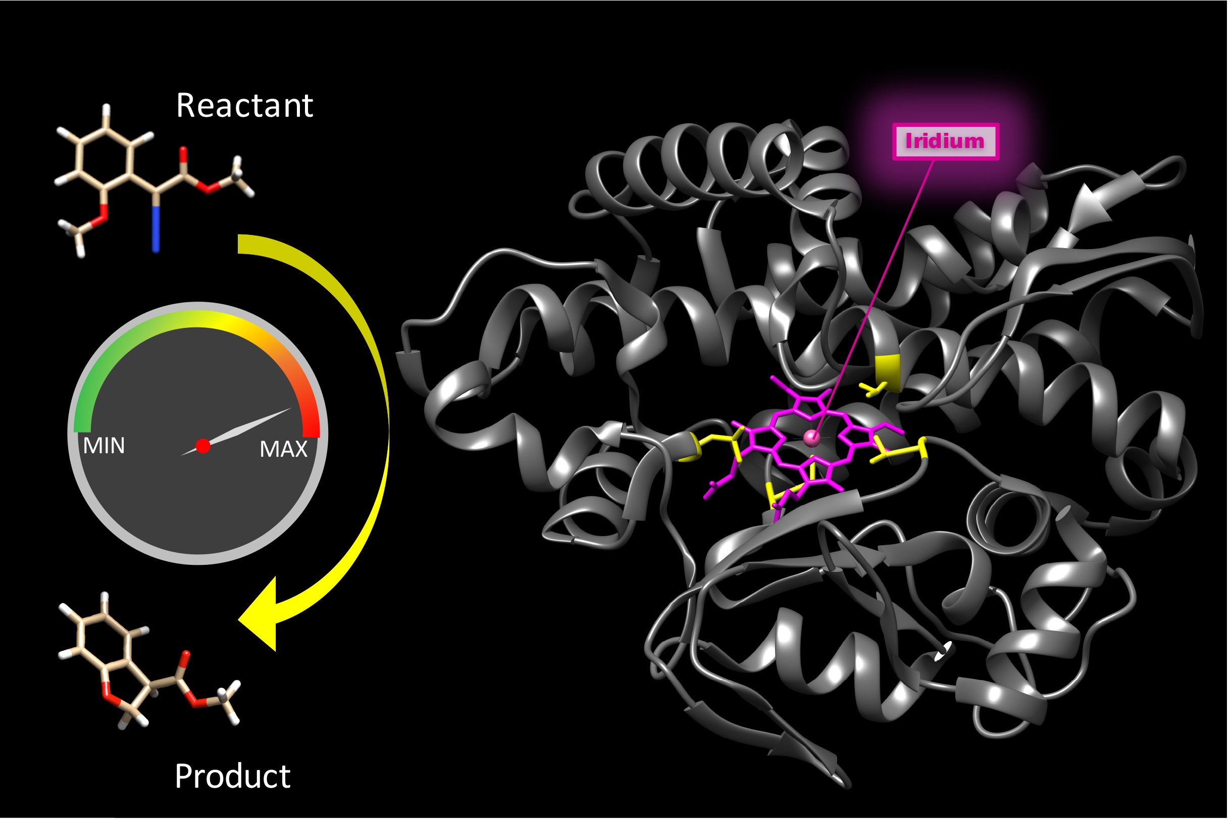 An artificial metalloenzyme with the kinetics of native enzymes