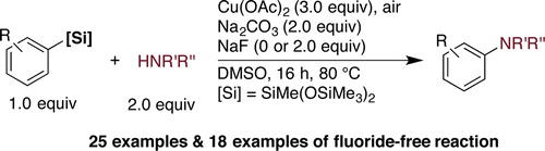 Copper-Mediated C-N Coupling of Arylsilanes with Nitrogen Nucleophiles