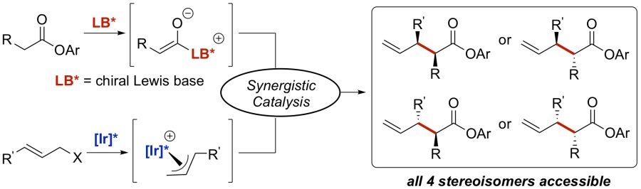 Stereodivergent Allylic Substitutions with Aryl Acetic Acid Esters by Synergistic Iridium and Lewis Base Catalysis