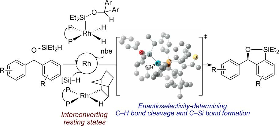 Mechanistic Studies on Rhodium-Catalyzed Enantioselective Silylation of Aryl C&ndash;H Bonds