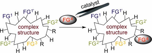 Catalyst-​Controlled Site-​Selective Bond Activation