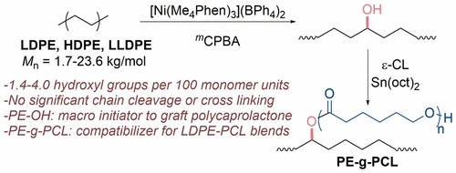 Catalytic Hydroxylation of Polyethylenes