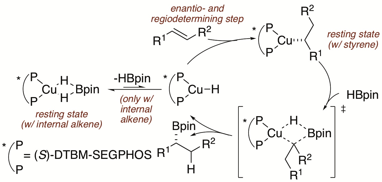 Mechanistic Studies of Copper-Catalyzed Asymmetric Hydroboration of Alkenes
