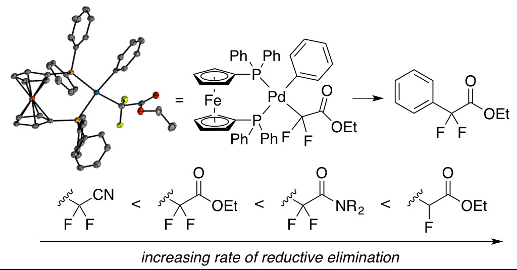 Synthesis, Characterization, and Reactivity of Palladium Fluoroenolate Complexes