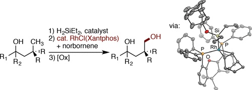 Rhodium-Catalyzed Regioselective Silylation of Alkyl C&ndash;H Bonds for the Synthesis of 1,4-Diols