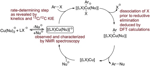 Mechanism of the Ullmann Biaryl Ether Synthesis Catalyzed by Complexes of Anionic Ligands: Evidence for the Reaction of Iodoarenes with Ligated Anionic Cu<sup>I</sup>&nbsp;Intermediates