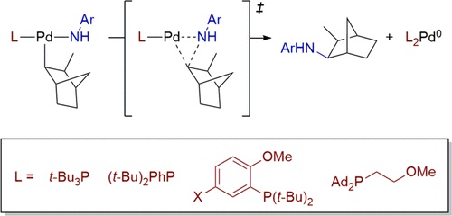 Reductive Elimination from Phosphine-​ligated Alkylpalladium(II) Amido Complexes to Form sp<sup>3</sup> Carbon-​Nitrogen Bonds