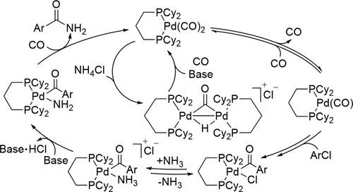 Mechanistic Studies of Palladium-Catalyzed Aminocarbonylation of Aryl Chlorides with Carbon Monoxide and Ammonia