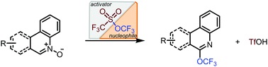 Synthesis of Heteroaromatic&nbsp;Trifluoromethyl&nbsp;Ethers with Trifluoromethyl&nbsp;Triflate as the Source of the Trifluoromethoxy&nbsp;Group