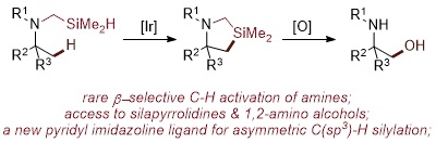 Iridium-Catalyzed, &beta;-Selective C(sp<sup>3</sup>)-H Silylation of Aliphatic Amines to Form Silapyrrolidines and 1,2-Amino Alcohols
