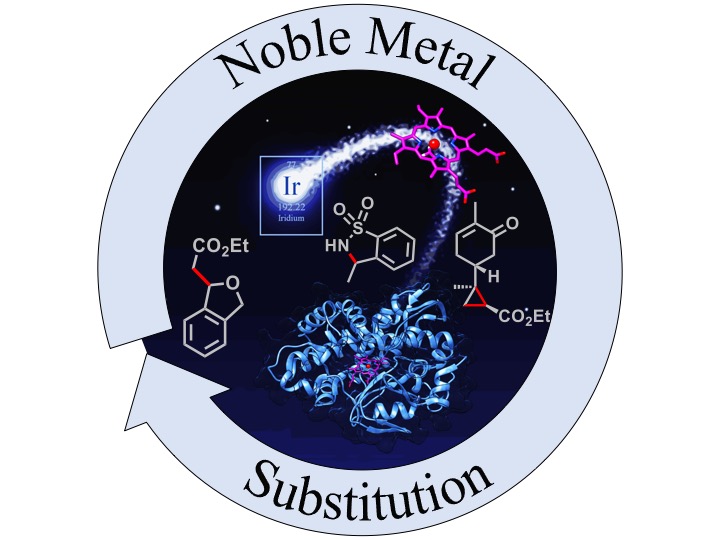 Noble-Metal Substitution in Hemoproteins: An Emerging Strategy for Abiological Catalysis