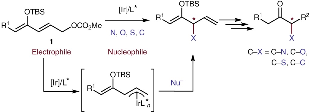 Enantioselective α-functionaliations of ketones via allylic substitution of silyl enol ethers