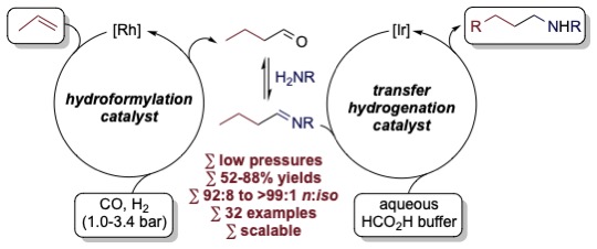 A Multicatalytic Approach to the Hydroaminomethylation of α-Olefins
