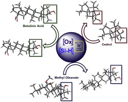 Iridium-catalyzed silylation of unactivated C-H bonds