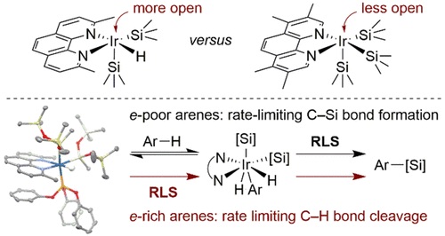 Mechanism of the Iridium-Catalyzed Silylation of Aromatic C–H Bonds
