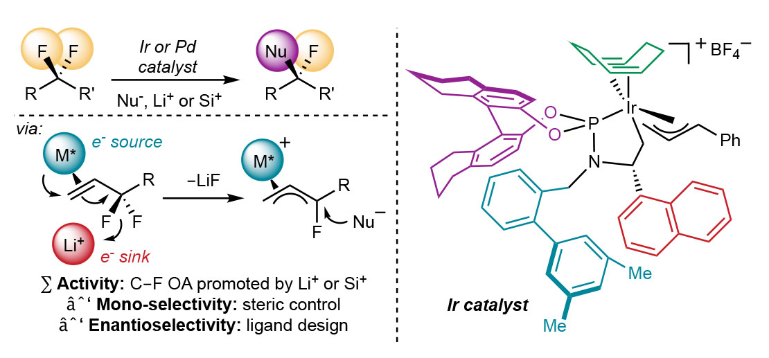 Desymmetrization of difluoromethylene groups by C-F bond activation