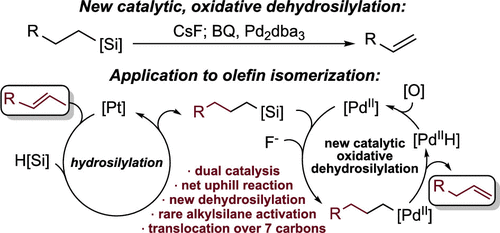 Palladium-Catalyzed Oxidative Dehydrosilylation for Contra-Thermodynamic Olefin Isomerization