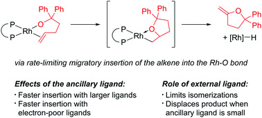 Effects of Ligands on the Migratory Insertion of Alkenes into Rhodium–Oxygen Bonds