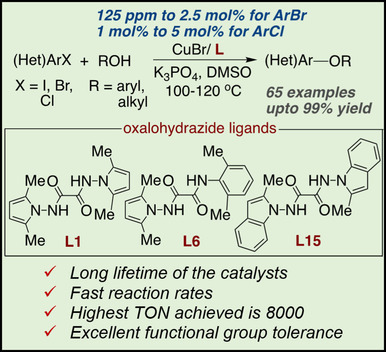 Oxalohydrazide Ligands for Copper-​Catalyzed C−​O Coupling Reactions with High Turnover Numbers