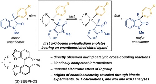 Direct Observation of Diastereomeric α-C-Bound Enolates during Enantioselective α-Arylations: Synthesis, Characterization, and Reactivity of Arylpalladium Fluorooxindole Complexes