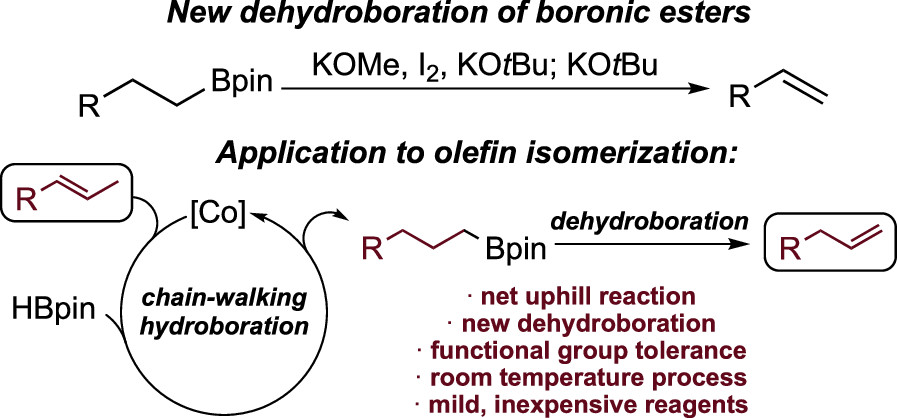 Contra-thermodynamic Olefin Isomerization by Chain-Walking Hydroboration and Dehydroboration