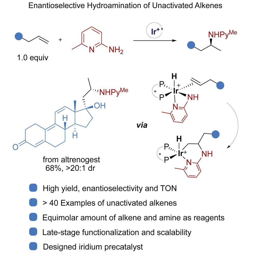 Enantioselective hydroamination of unactivated terminal alkenes