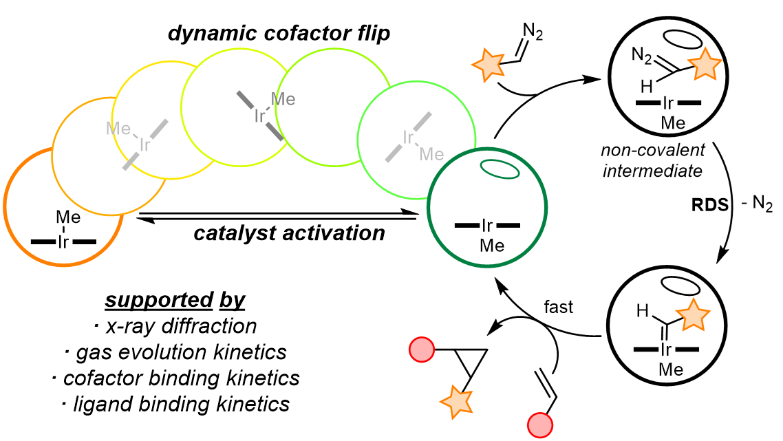 Nickel-Catalyzed Borylation of Halides and Pseudohalides with