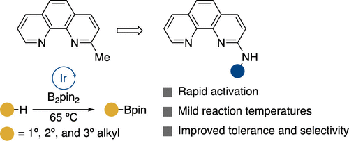 2-Aminophenanthroline Ligands Enable Mild, Undirected, Iridium-Catalyzed Borylation of Alkyl C-H Bonds