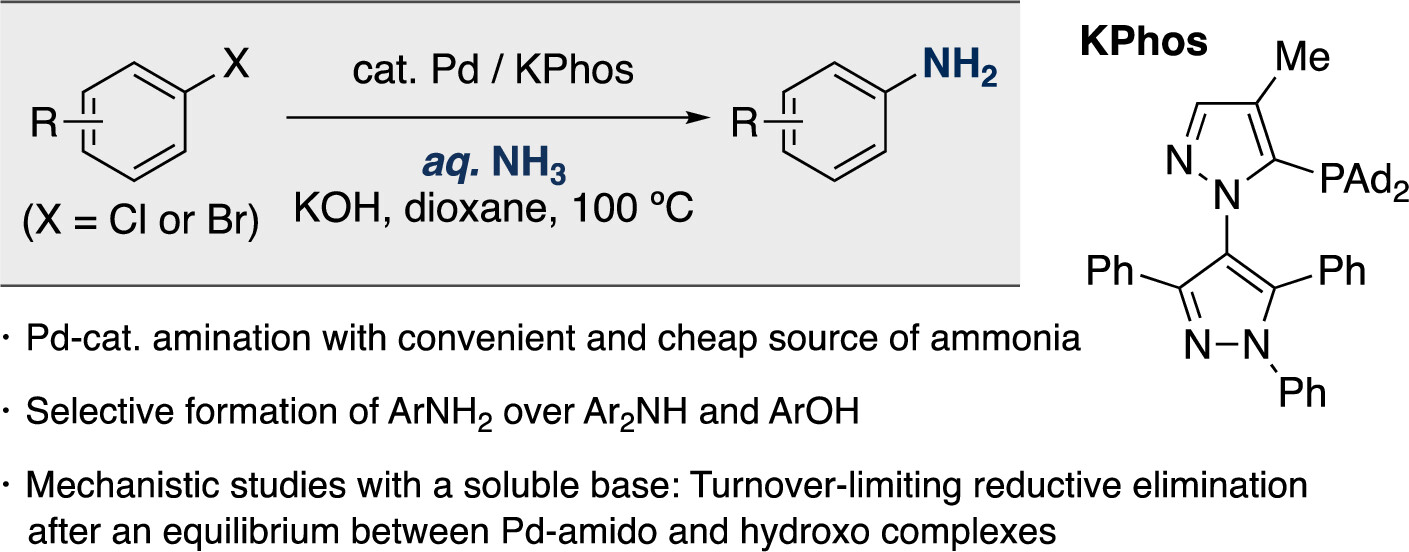 Palladium-Catalyzed Amination of Aryl Halides with AqueousAmmonia and Hydroxide Base Enabled by Ligand Development