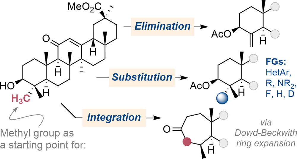 Substitution, Elimination, and Integration of Methyl Groups in Terpenes Initiated by C–H Bond Functionalization