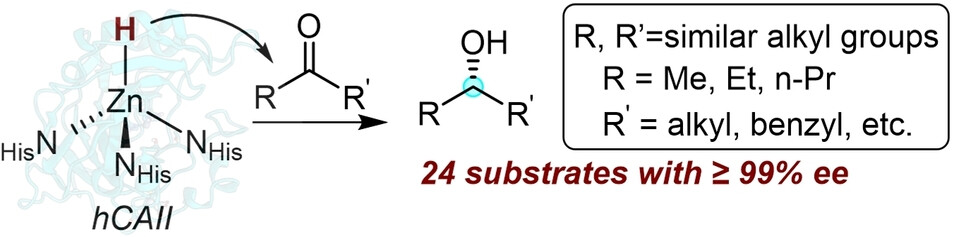 Carbonic Anhydrase Variants Catalyze the Reduction of Dialkyl Ketones with High Enantioselectivity