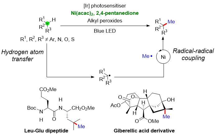 Catalytic undirected methylation ofunactivated C(sp<I>3</I>)−H bonds suitable forcomplex molecules