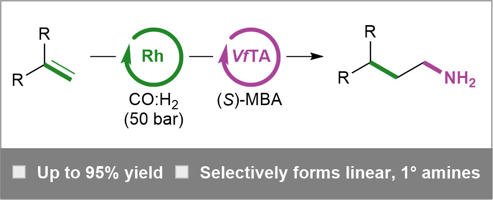 A Chemoenzymatic Hydroaminomethylation Strategy for the Selective Synthesis of Linear Primary Amines from Olefins by Sequential and Tandem Processes