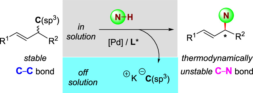 Asymmetric Amination of Unstrained C(sp3)–C(sp3) Bonds