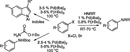 Room-temperature palladium-catalyzed amination of aryl bromides and chlorides and extended   	scope of aromatic C-N bond formation with a commercial ligand